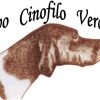 EXPO Nazionale Vercelli 22 Maggio 2022