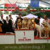 EXPO Nazionale Seveso  15 Maggio 2022